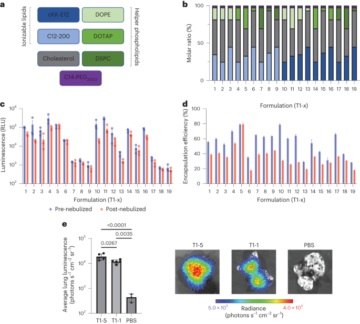 Combinatorial development of nebulized mRNA delivery formulations for the lungs - Nature Nanotechnology