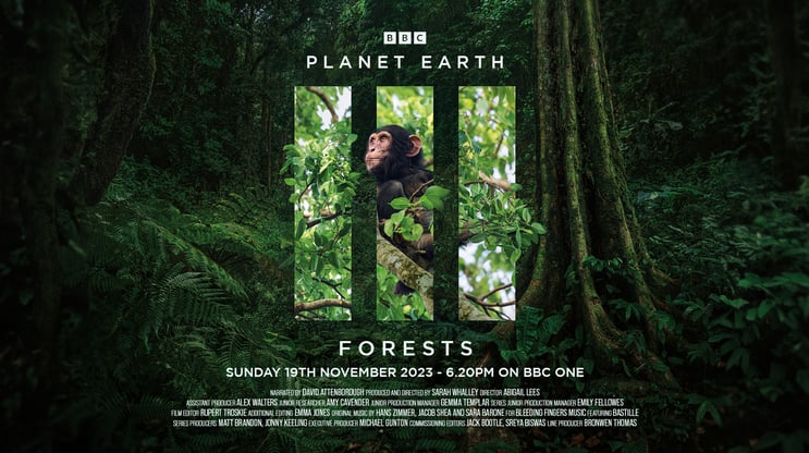 بي بي سي الغابات حلقة - 19.11.23