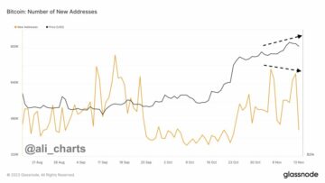 Kripto Analisti, Bitcoin'in 'Kırmızı Bayrak' Gösterdiğini Söyledi, Yukarıya Doğru Momentumun Yeterli Olmayabileceği Uyarısında Bulundu - İşte Hedefleri - The Daily Hodl