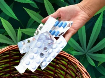 Работает ли медицинская марихуана? - 9 из 10 пациентов с MMJ сокращают употребление отпускаемых по рецепту лекарств или алкоголя или того и другого, говорится в новом исследовании