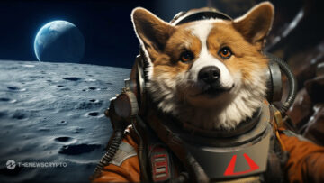 Dogecoin چاند پر، لفظی طور پر! DOGE قمری مشن پر