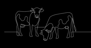 Emisiile continuă să crească printre cei mai mari producători de carne și lactate din lume | GreenBiz
