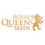 European Cannabis Genetics Brand Royal Queen Seeds gör amerikansk detaljhandelsdebut i New York - Medical Marijuana Program Connection