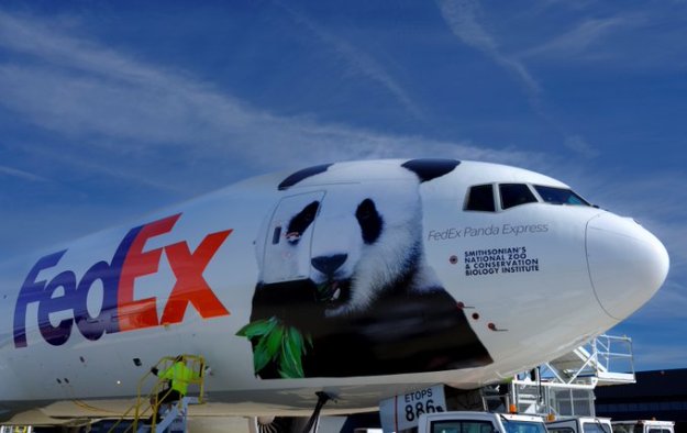وصول FedEx "Panda Express" إلى تشيندو، الصين