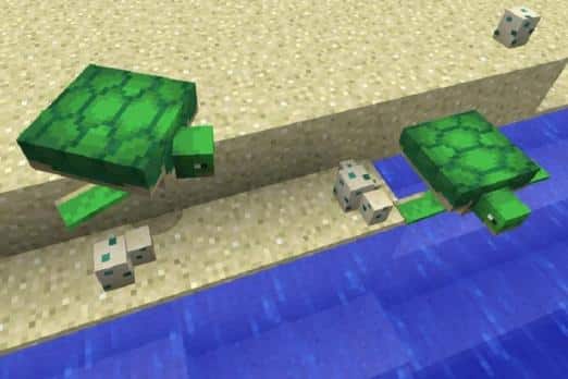 how to breed turtles minecraft