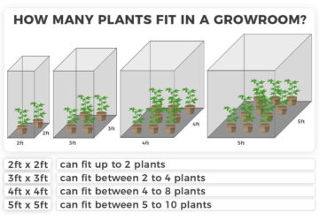 Как построить комнату для выращивания конопли