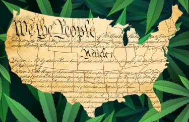 we the people of cannabis