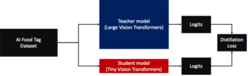 KT-jeva pot do skrajšanja časa usposabljanja za model transformatorjev vida z uporabo Amazon SageMaker | Spletne storitve Amazon