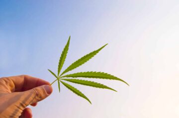 New Report on Cannabis M&A’s Highlights Industry-Wide Changes