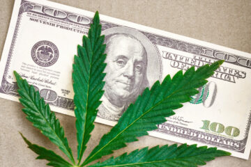 New Wisconsin Report Shares Cannabis Revenue Estimates | High Times