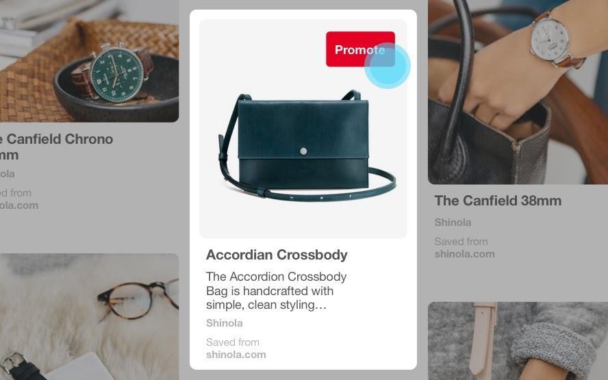 Online advertising for business: pinterest add from Accordian Crossbody