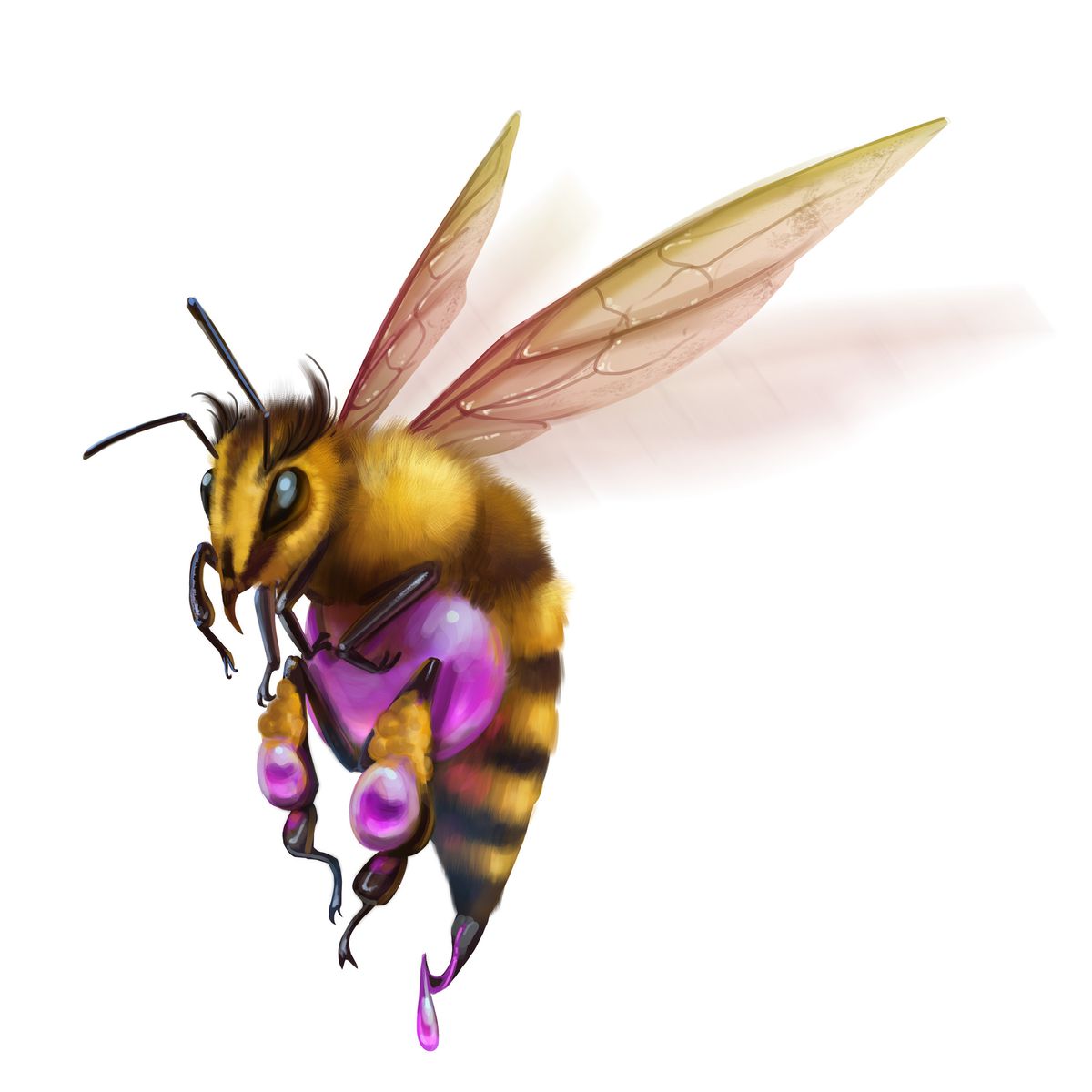 A large, furry bee with a purple sack above and on its legs. Purple ichor drops from its stinger.