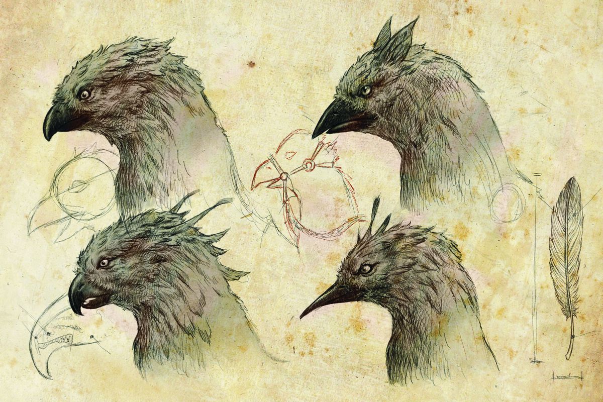 Images of four different Griffin, each with beaks designed to break open different kinds of armor.