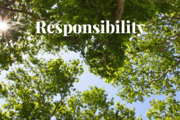 Emisije področja 4: redefiniranje odgovornosti podjetij