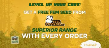 Seedstockers Seeds Superior – ของแจกและของแจกฟรีใหม่!