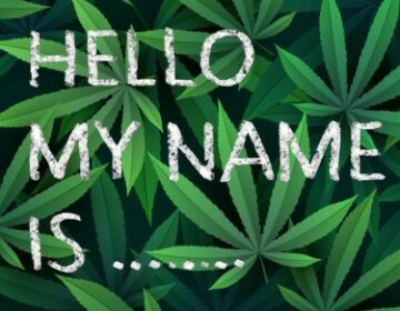 Die farbenfrohe Sprache der Namen von Cannabissorten – würdigen Sie die einzigartige und kreative Vergangenheit der OG-Züchter