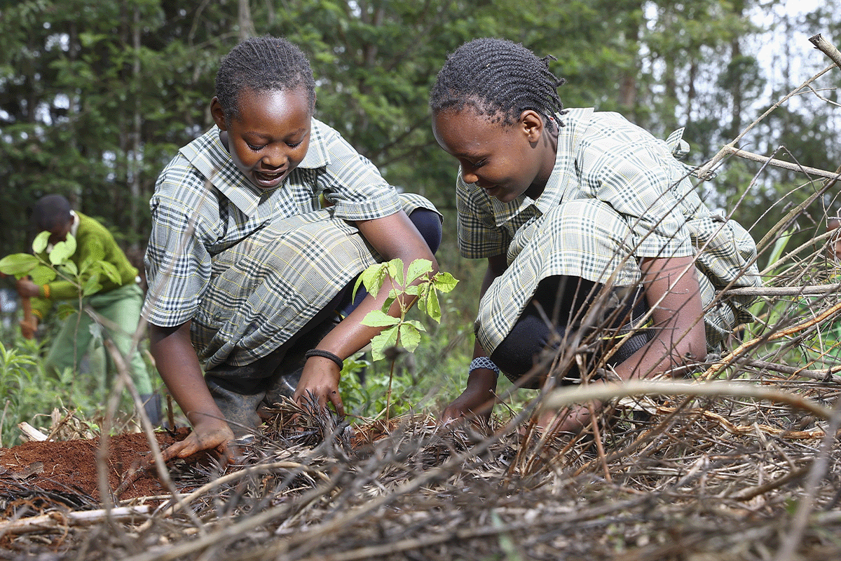 کاربن مارکیٹ کے کلیدی تصورات کی کھوج_کینیا_visual 5 میں اسکول میں پودے لگاتے ہوئے شاگرد