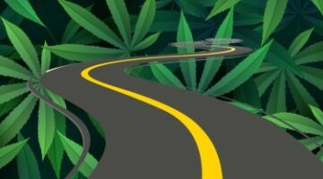 La route qui ne mène nulle part : pourquoi l’équité sociale et les réparations liées au cannabis sont un mirage bien intentionné