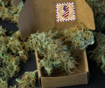 Vrai ou faux, déplacer du cannabis vers une drogue de l'annexe 3 signifie envoyer de l'herbe par la poste, UPS ou Fed Ex, est-il désormais légal ?