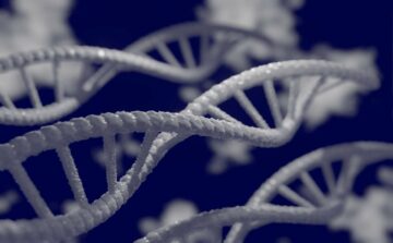 Velsera en Solaris Health bundelen hun krachten om genetische tests in de VS uit te breiden