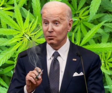 What Would Happen if President Biden Smoked a Joint? - Democratic Challenger Dean Phillips Says He Should Try Cannabis!