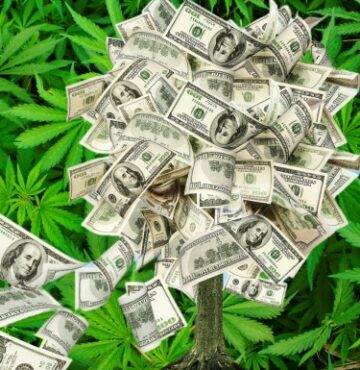 IA, conocimiento del cannabis, Venmo: ¡cómo los fumetas pueden ganar dinero en 2024 y más allá!