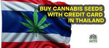Køb Cannabisfrø med kreditkort i Thailand