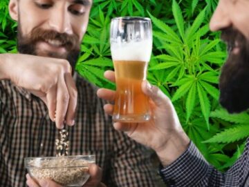 Bière microbrassée infusée au cannabis ? - Comment faire de la bière infusée à l'herbe (Guide de bricolage étape par étape)