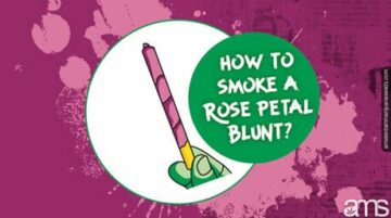 Discover the Art of Smoking a Rose Petal Blunt | The Smoking Rose Blog