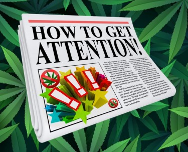 anti marijuana headlines clickbait