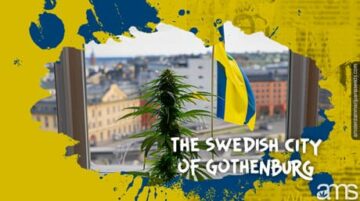 مرز سبز سوئد را کاوش کنید: پیمایش شاهدانه، CBD و HHC
