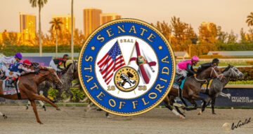 Il senatore della Florida propone un disegno di legge per consentire l'espansione delle strutture Parimutuel
