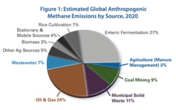 سبز کردن مرتع: طرح کانادا برای مهار انتشار گاز متان از گاوها