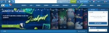 How to Check Bet History on 1xBet - Sports Betting Tricks