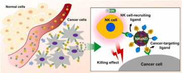 Nou progres în terapia țintită a cancerului folosind nanoparticule inovatoare care activează imun