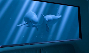 Ocean Rift เปลี่ยนห้องของคุณให้กลายเป็นพิพิธภัณฑ์สัตว์น้ำความเป็นจริงผสม