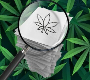 Plus de 32,000 10 études sur le cannabis ont été publiées au cours des XNUMX dernières années – dissipant le mythe du manque de recherche