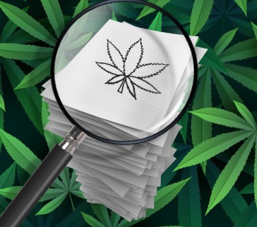 Er zijn de afgelopen tien jaar meer dan 32,000 cannabisonderzoeken gepubliceerd – waarmee de mythe van niet genoeg onderzoek wordt ontkracht