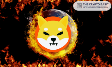 Shiba Inu Leader Says Burning 99.9% of Shiba Inu is Not Impossible