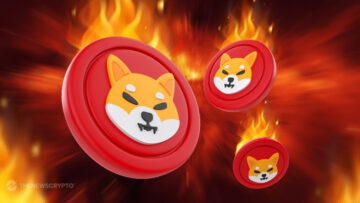 Desenvolvedor líder de Shiba Inu contempla queima de fornecimento de token de 99.9%