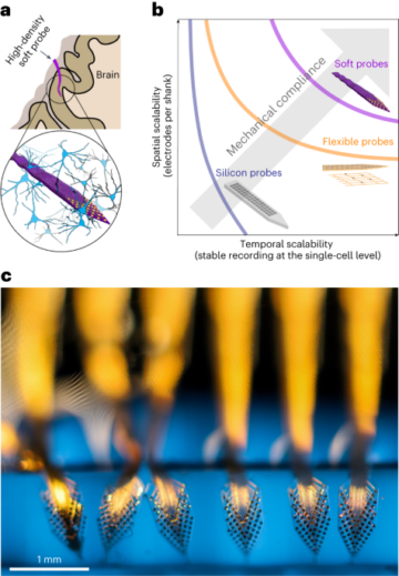 Probe saraf berdensitas tinggi yang lembut memungkinkan perekaman neuron tunggal yang stabil - Nature Nanotechnology