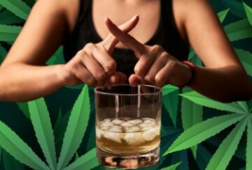 Het einde van de grote alcoholproductie komt eraan? - Cannabisgebruik versus alcoholgebruik is zelfs nu bijna dood in de leeftijdsgroep van 18 tot 25 jaar