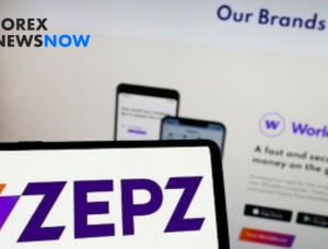 揭示 Zepz 的动态：应对金融科技的挑战和战略转变