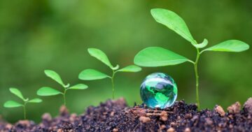 4 entscheidende Schritte, um Nachhaltigkeit in Ihrem Unternehmen zu verankern | GreenBiz