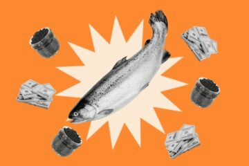 Um peixe cheio de dólares: o que os profissionais de marketing podem aprender com o aumento do caviar da geração Z