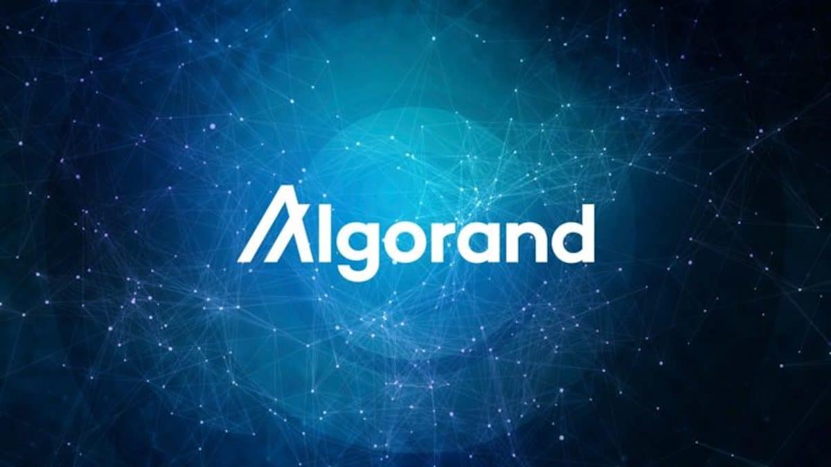 Contul de socializare al CEO-ului Algorand lovit de hackeri