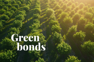 Wszystko, co musisz wiedzieć o zielonych obligacjach
