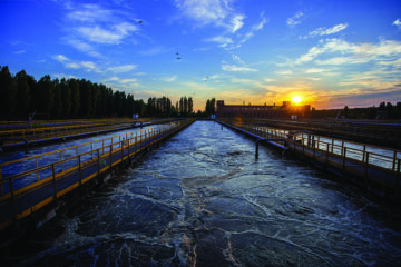 生物混合炼金术：将废水污染物转化为化学品 |环境技术公司