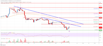 Bitcoin Price Analysis: BTC Takes Hit, Can This Support Hold? | Live Bitcoin News