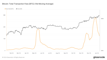 Bitcoin's miner fee revenue plummets by 50% from recent highs